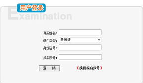 烟台2010年11月计算机技术与软件专业技术资格（水平）考试信息查询与咨询服务指南